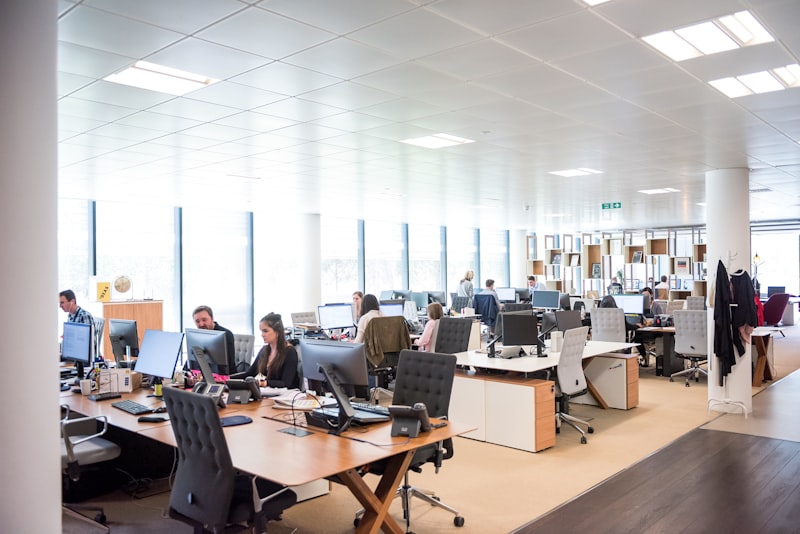 Bright open-plan office with staff working at desks for back-office operations